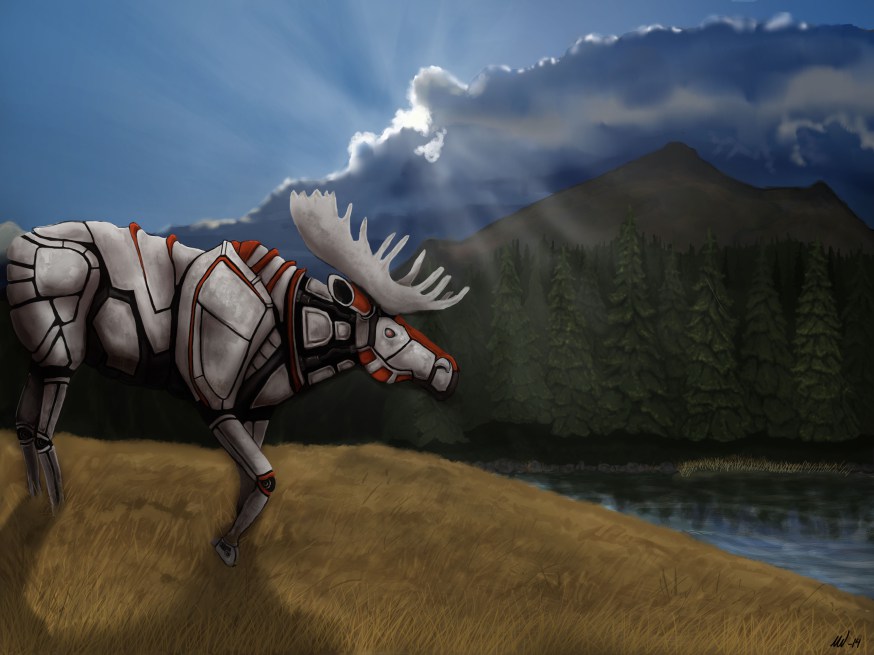 Wildlife, a work that has been a great big artistic experiment for me.