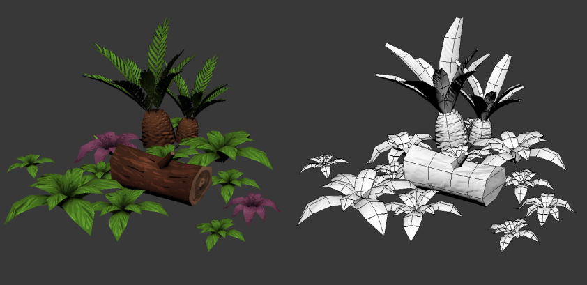 plants
