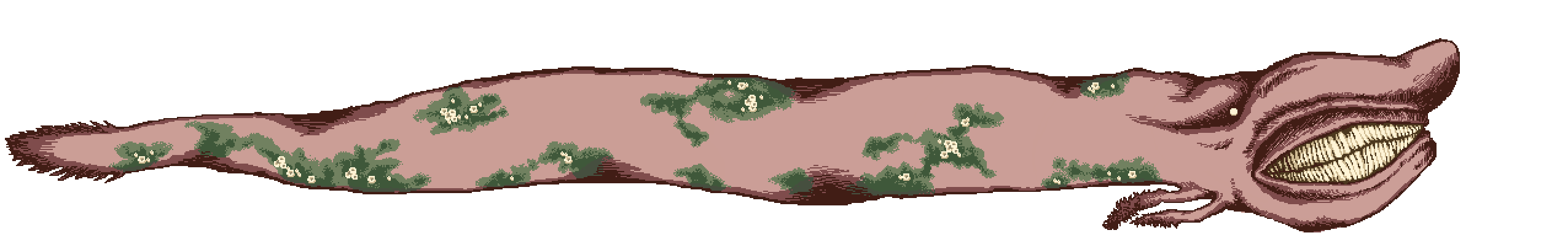 enemy normal asset decapitatedLARGE