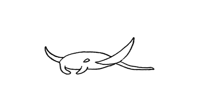 manta-ray-animation-movement-12fps