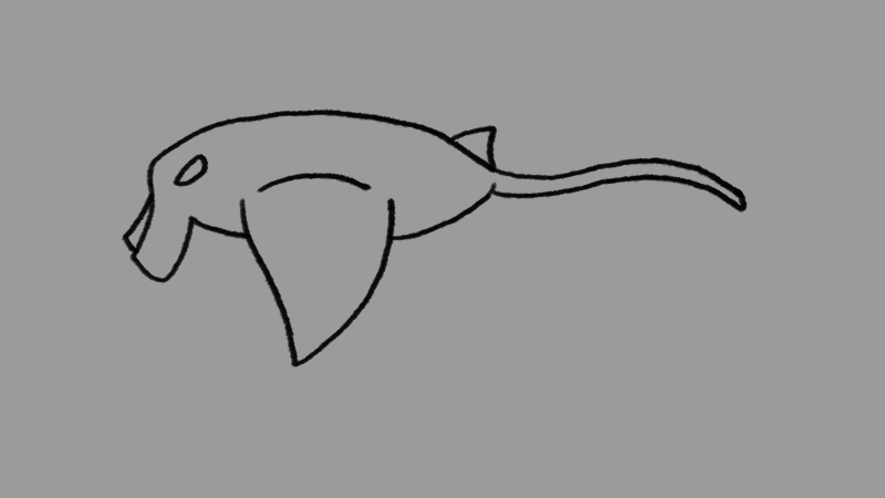 manta-ray-animation-movement
