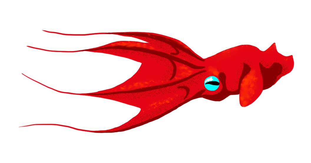 octopus depth