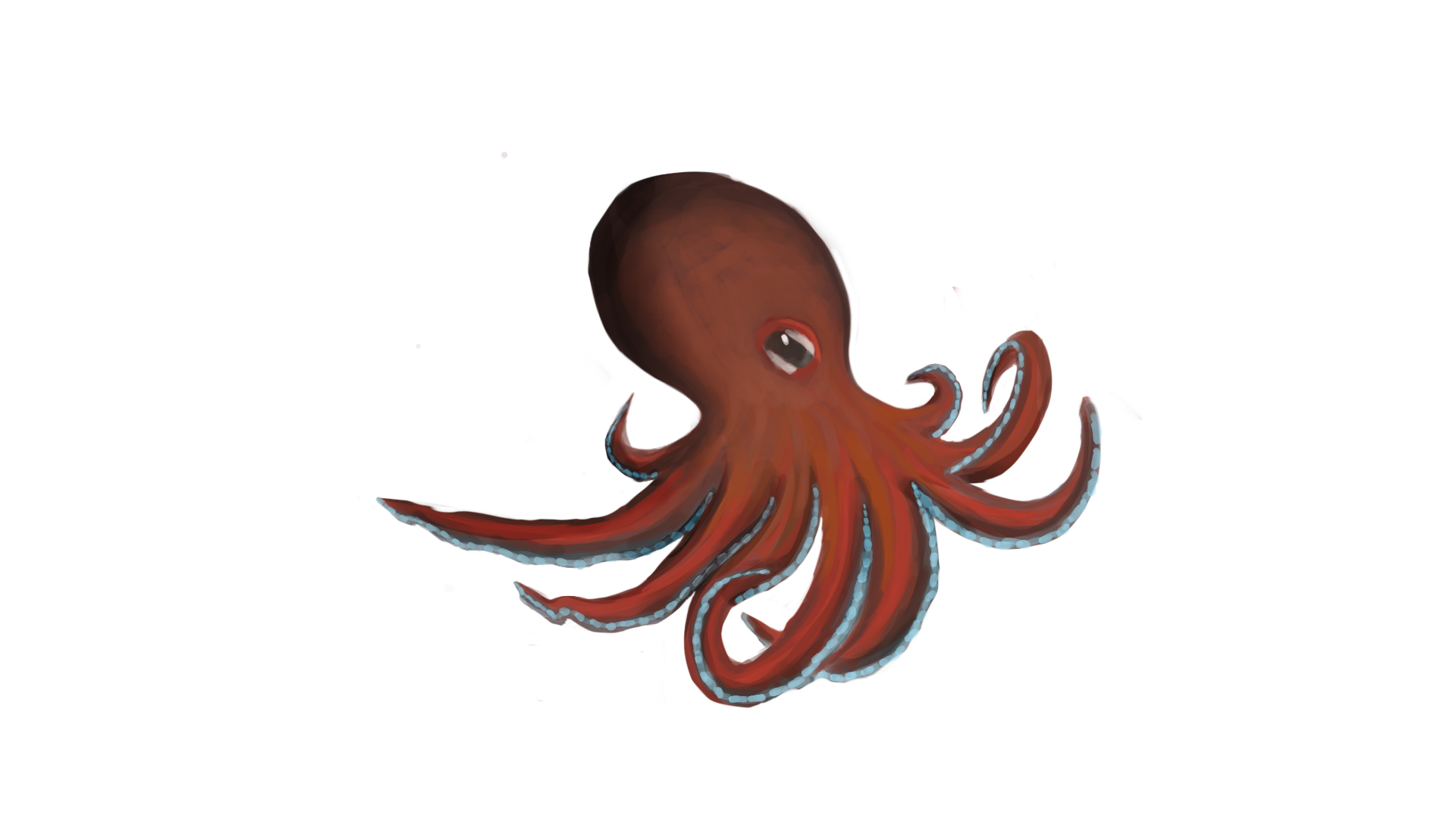 octopus.png