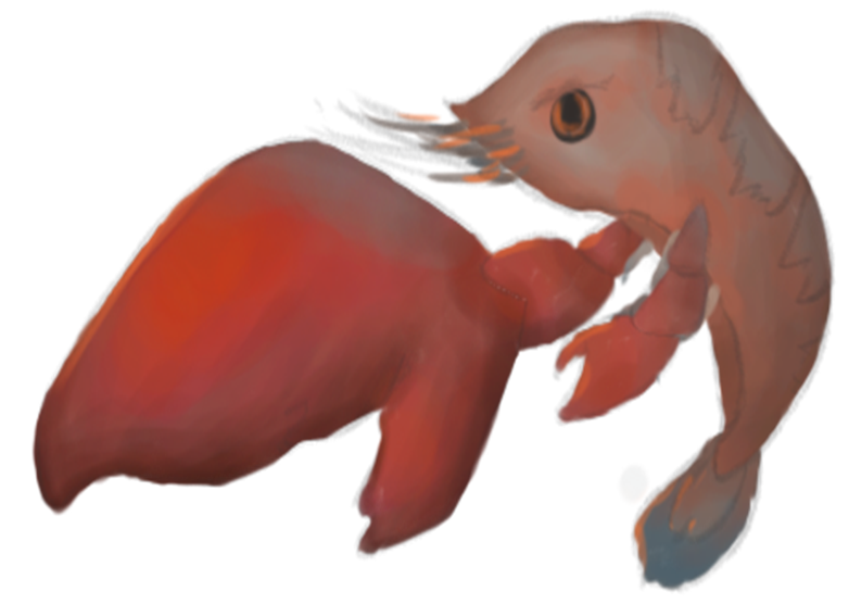 pistolshrimp depth.png