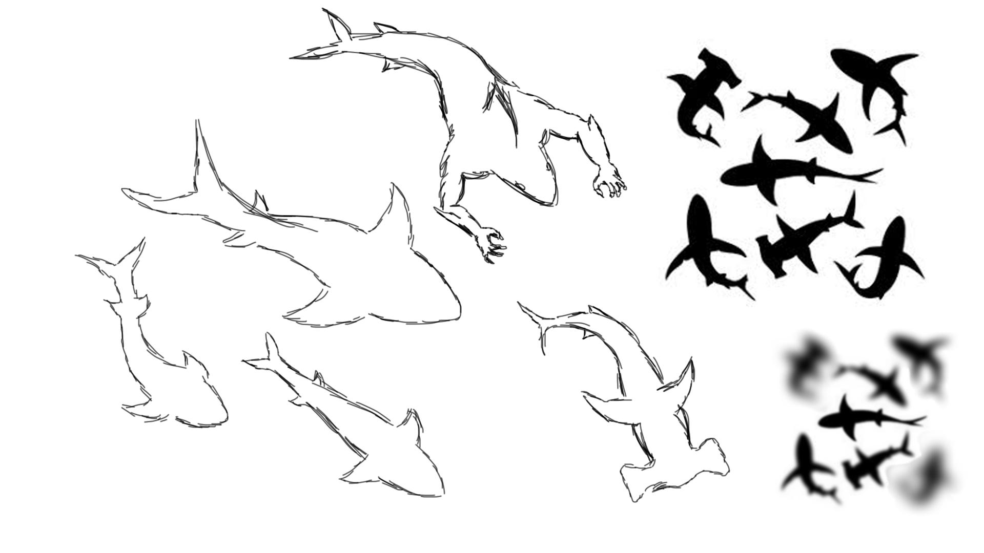 shark shape image