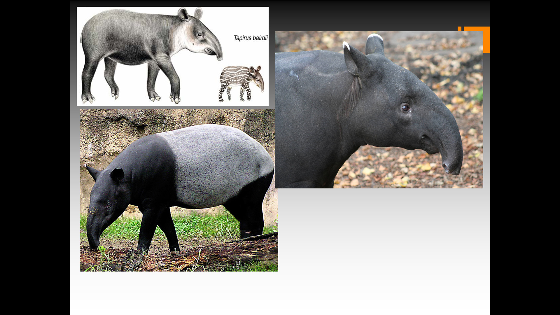 Character_Material 3