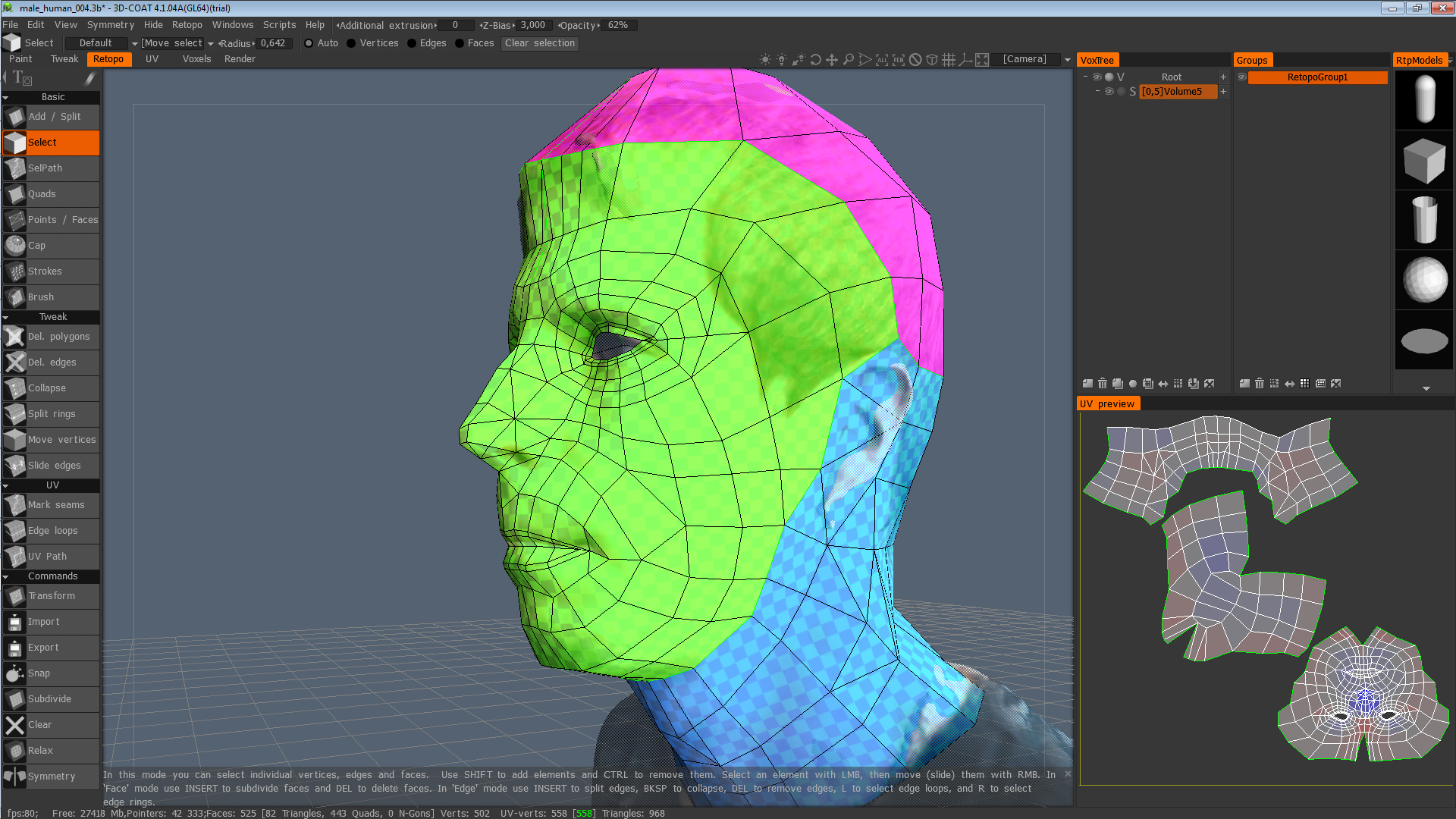 Head Topology 2