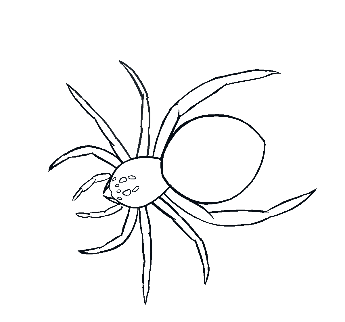 Attack Animation of Spider.gif