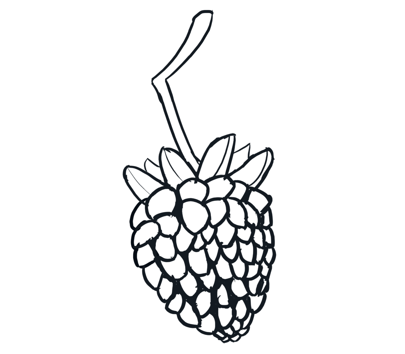 Berry 4.png