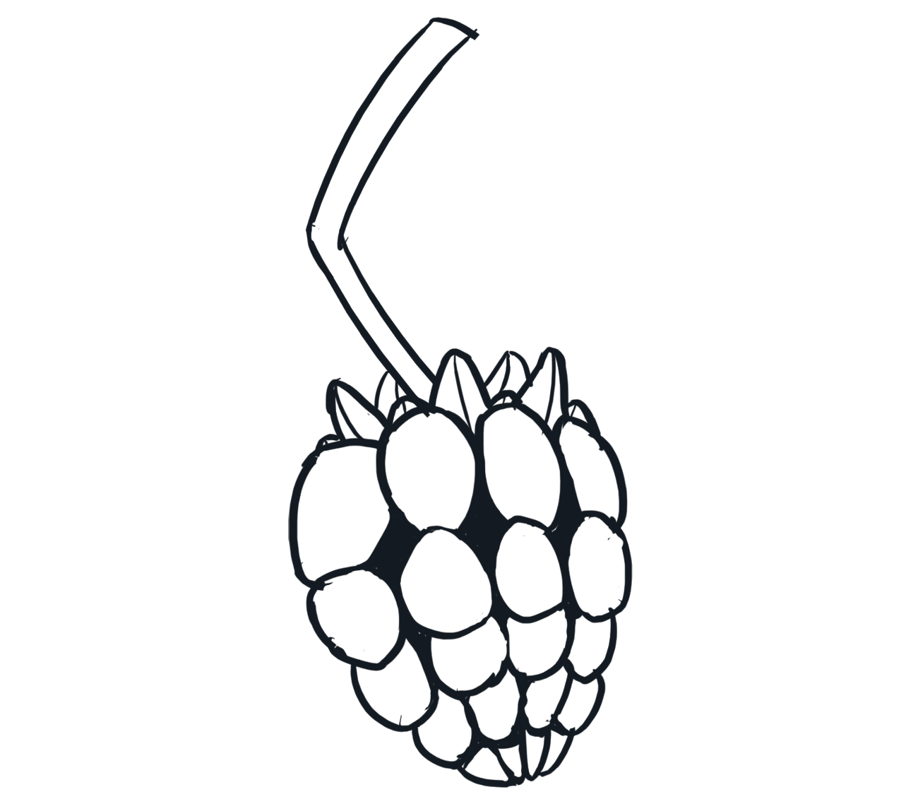 Berry 5.png