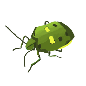 bug 2
