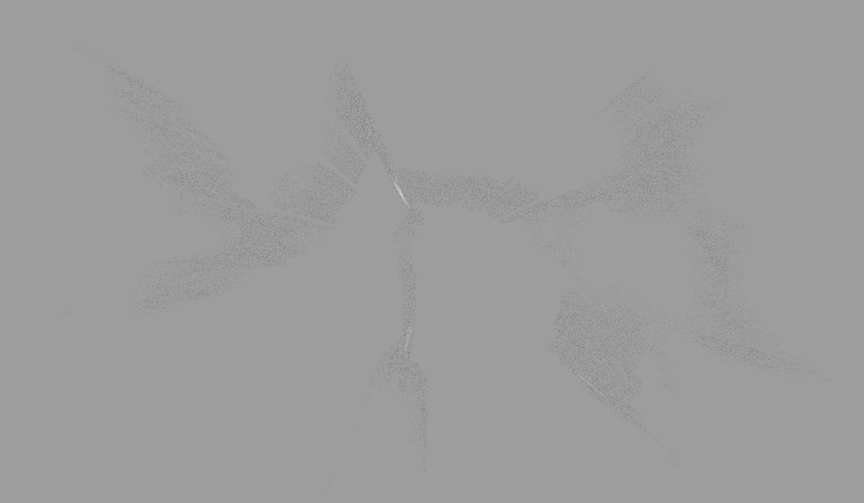 Debris