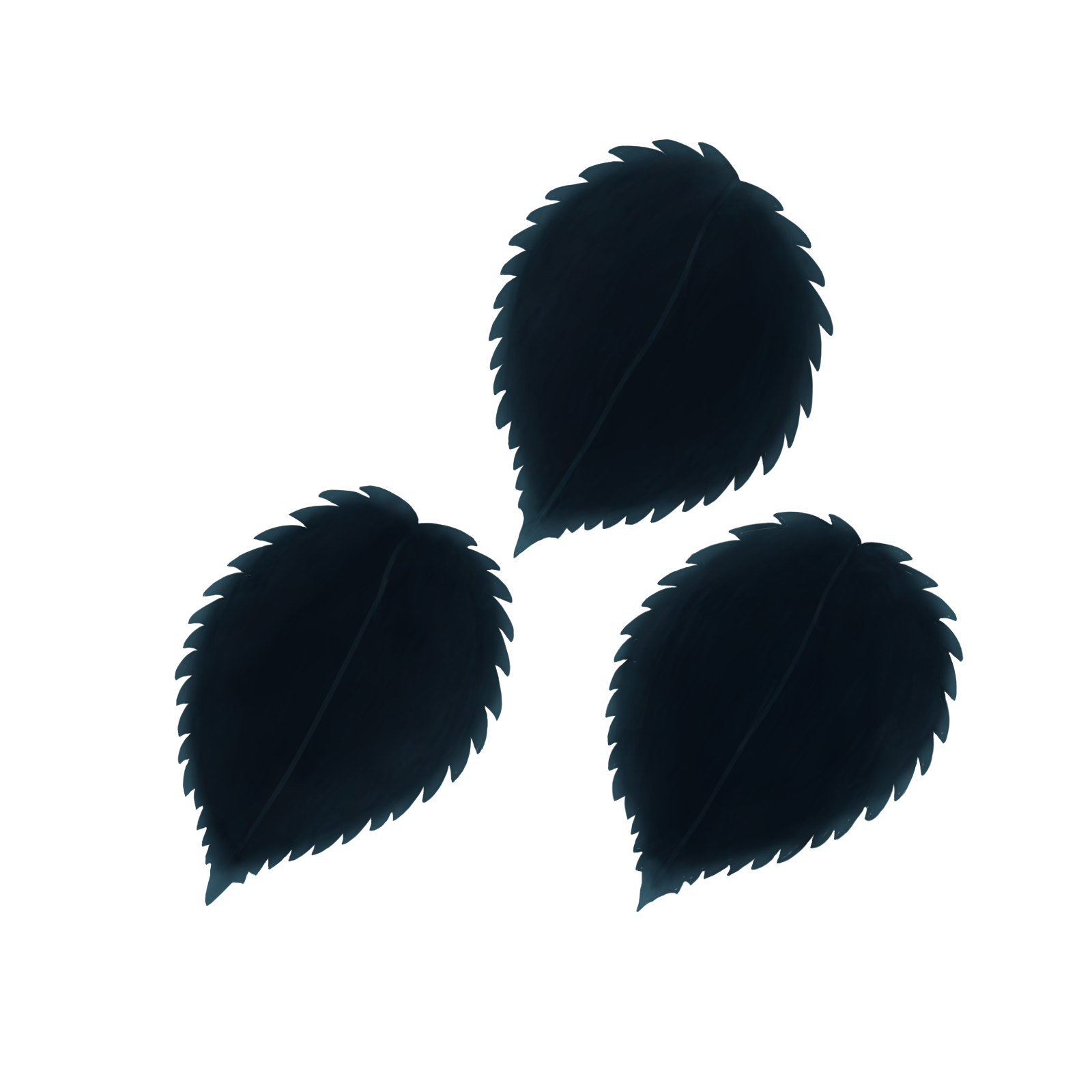 Different Leaf Variations.png