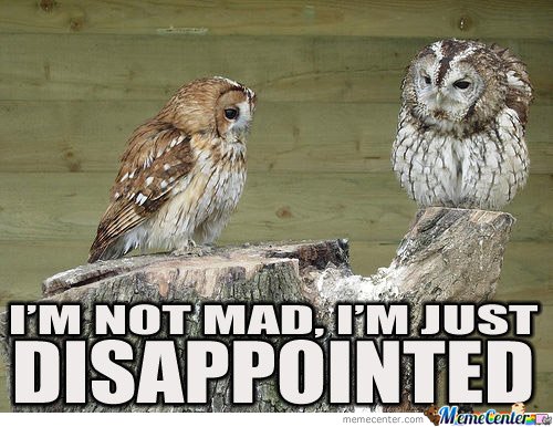 disapointed-owl_o_97782