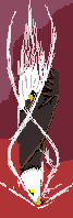 eagle_dive_animation