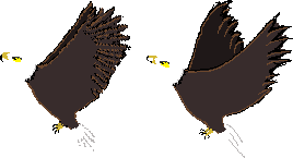 eagle_hit_sprite_sheet