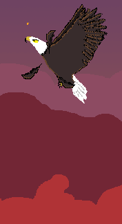 feathers