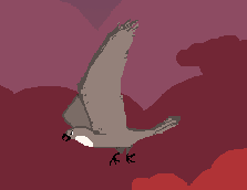 Hawk_animation_kopia
