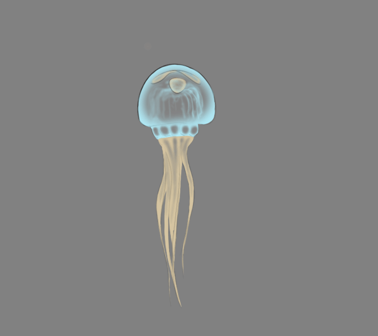 jellyfish