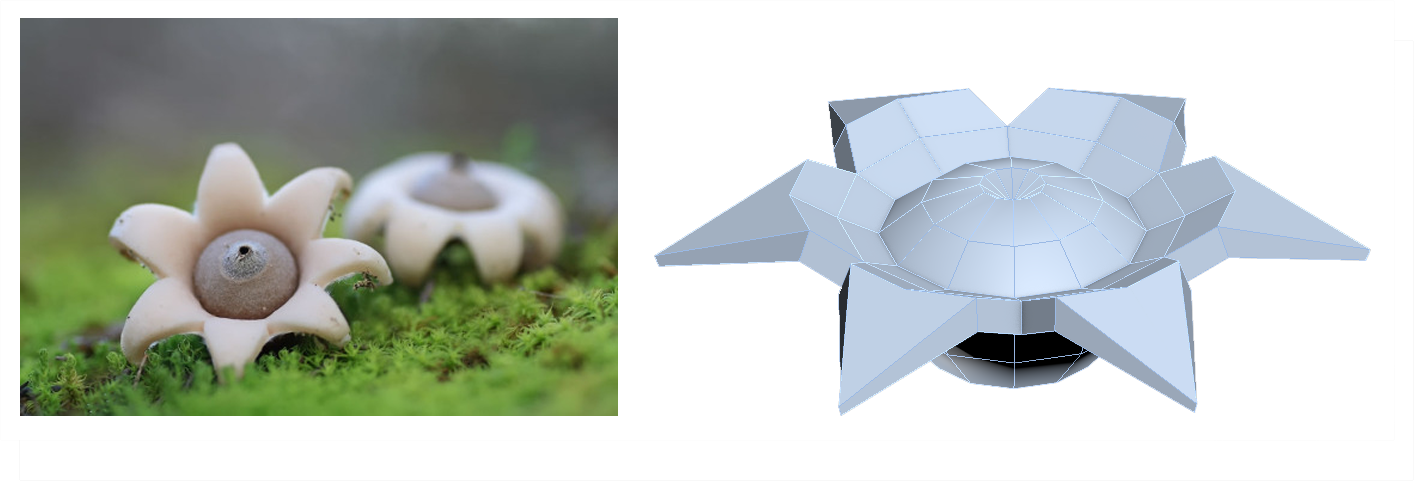 Lager 54 kopiera copy