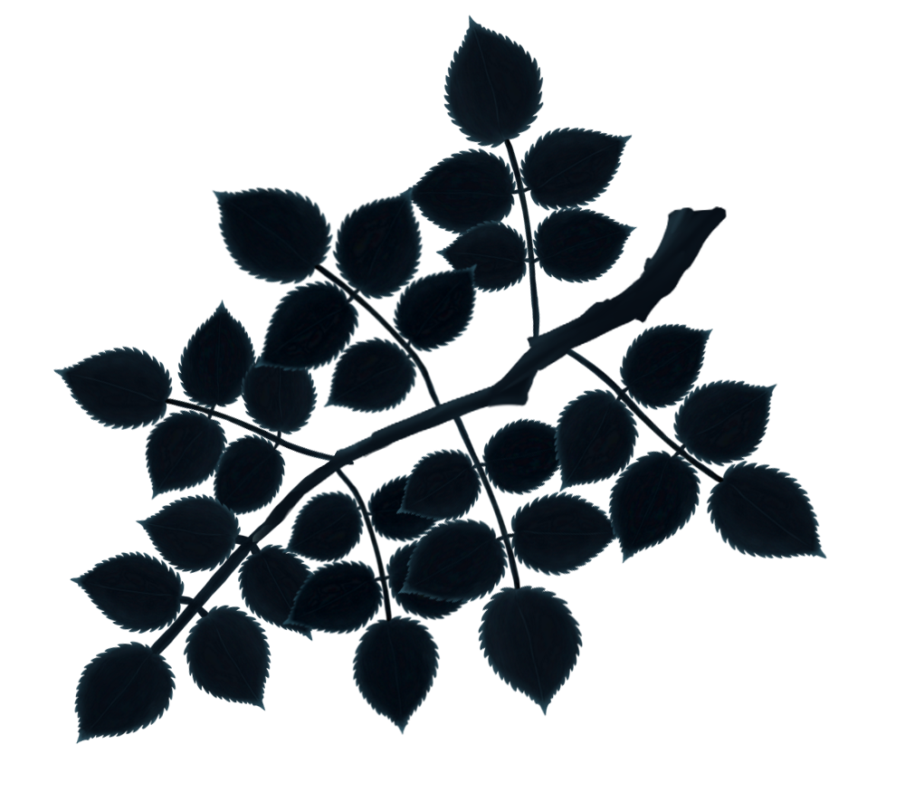 Medium Branch with Leaves.png