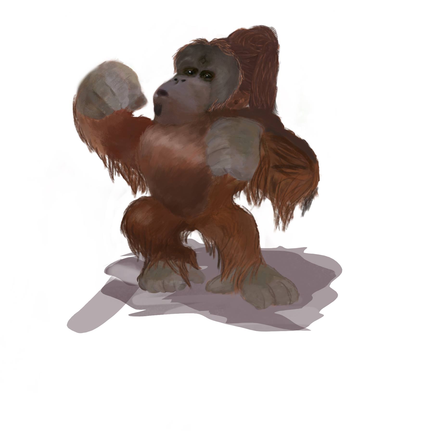 Orangutan
