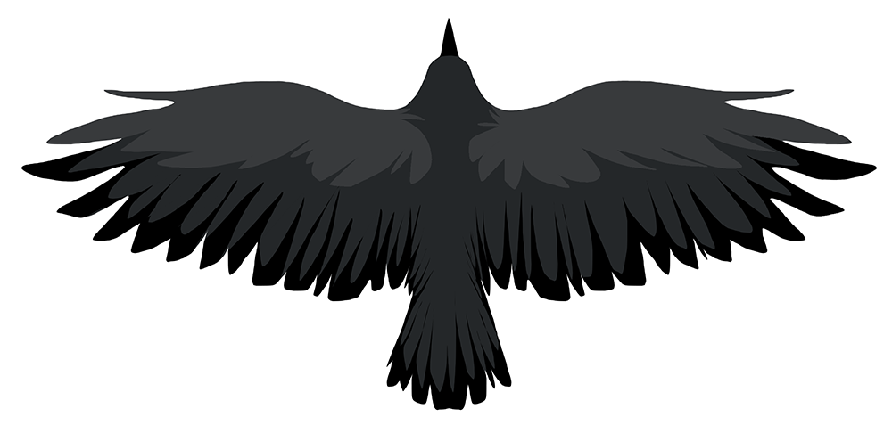 raven_top_down_by_arcaneavis-d7ltzc4