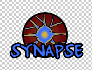 synapse