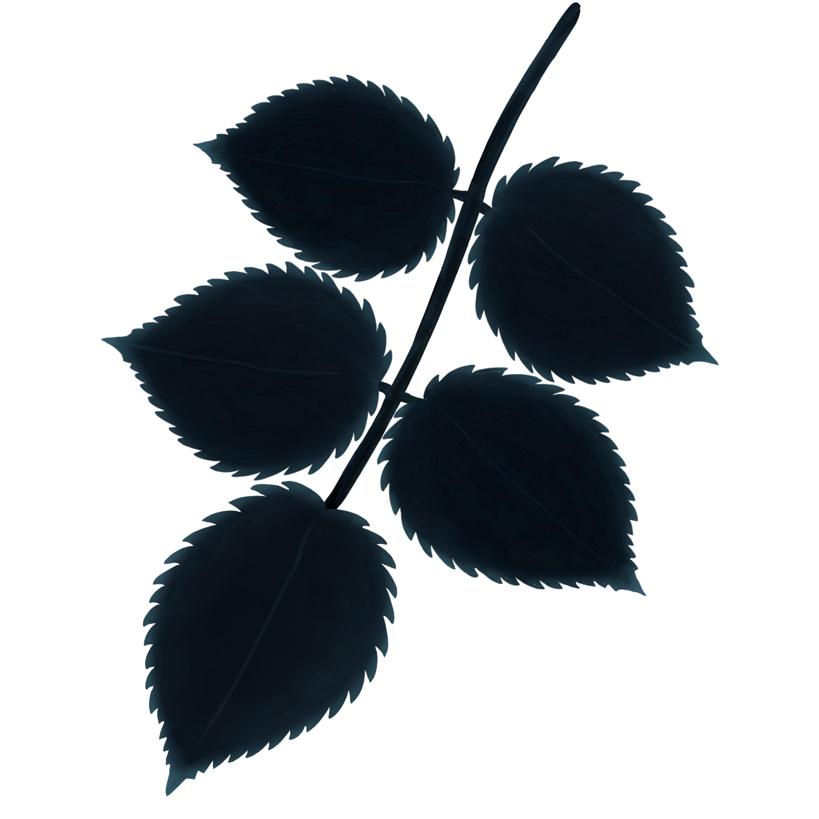 Thin Leaf Branch 2.png