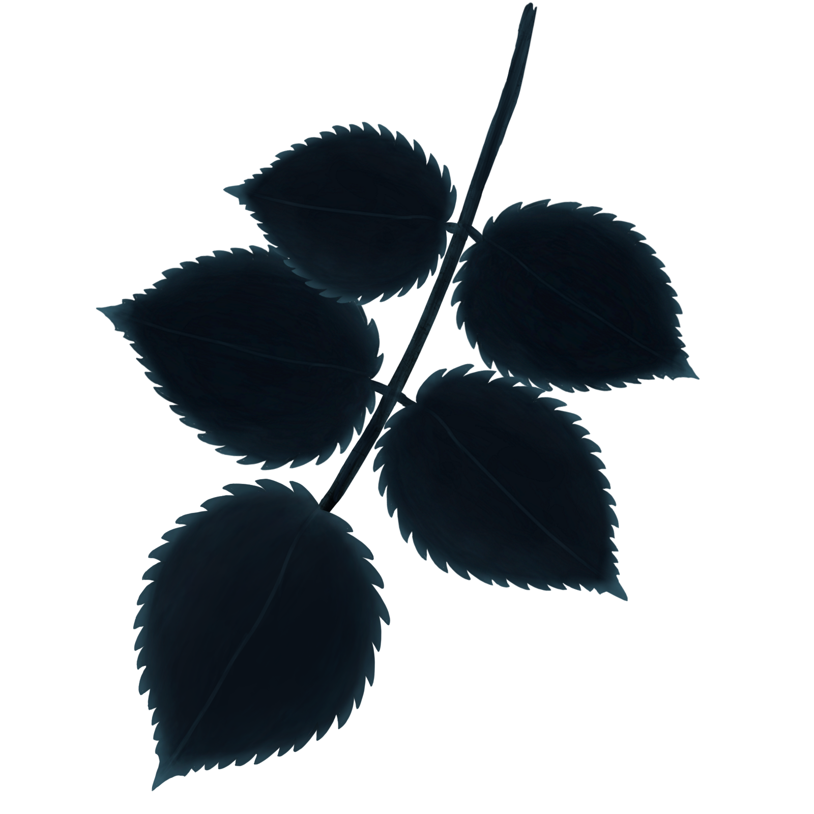 Thin Leaf Branch 3 (Lapse).png