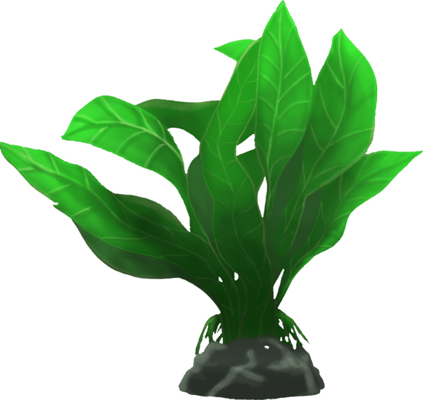 veg-painted-light-shadow