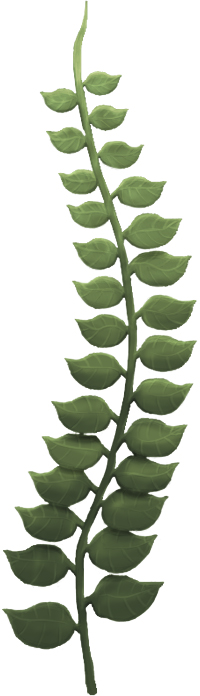 weed-painted-light-shadow